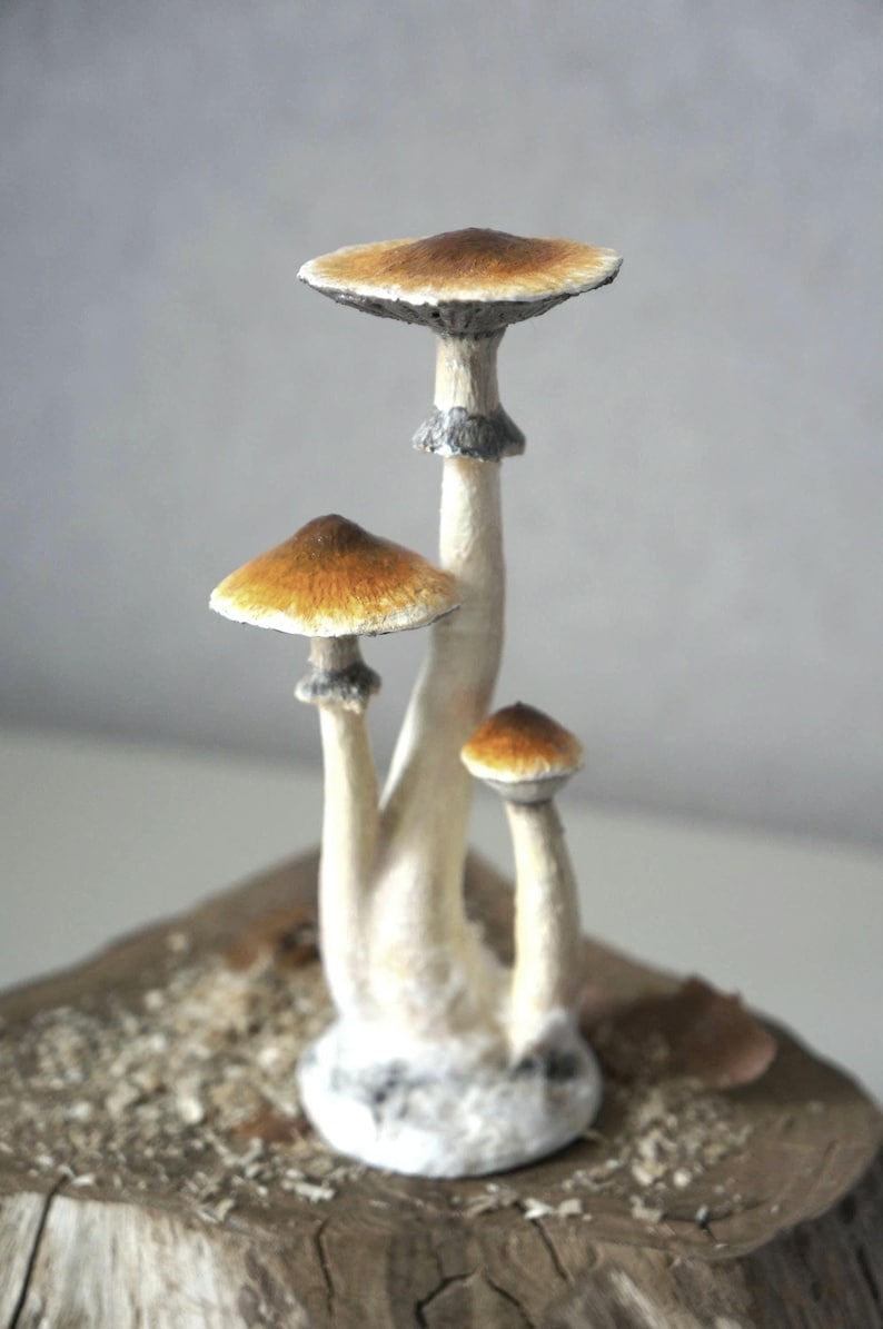 Psylocibe cubensis mushroom figurine Magic shrooms Psilocybin Golden teachers statue Blue Meanie Psychedelic magic mushroom Aztec figurine image 1