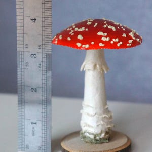 May include: A handcrafted, decorative mushroom figurine. The red cap is dotted with white spots, and the stem is white. The mushroom is approximately 4 inches tall and sits on a small wooden base. A ruler is placed next to the mushroom.