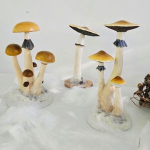 Psylocibe cubensis mushroom figurine Magic shrooms Psilocybin Golden teachers statue Blue Meanie Psychedelic magic mushroom Aztec figurine image 2