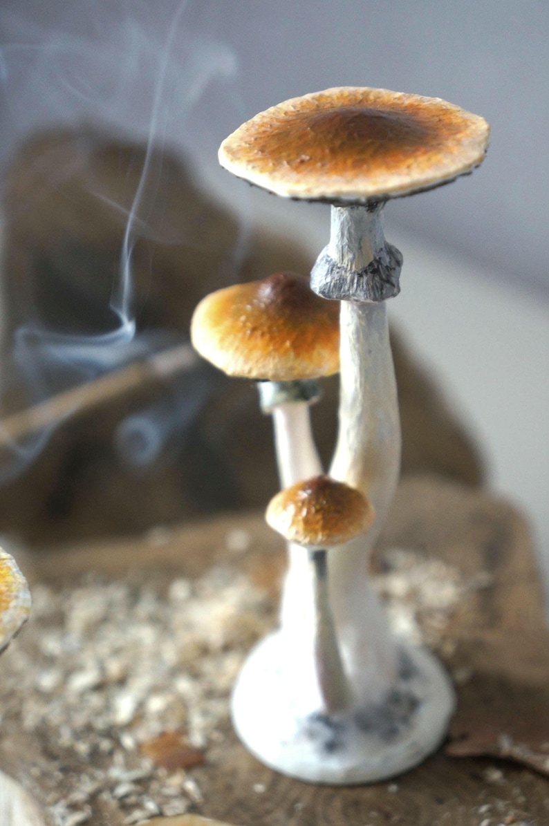 Psylocibe cubensis mushroom figurine Magic shrooms Psilocybin Golden teachers statue Blue Meanie Psychedelic magic mushroom Aztec figurine image 14