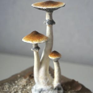 Prezent dla miłośnika grzybów psilocybinowych Figurka z magicznymi grzybami przebudzenia Złote nauczycielki Wiszące ozdoby z magicznymi grzybami Figurka z grzybami psylocybinowymi zdjęcie 10
