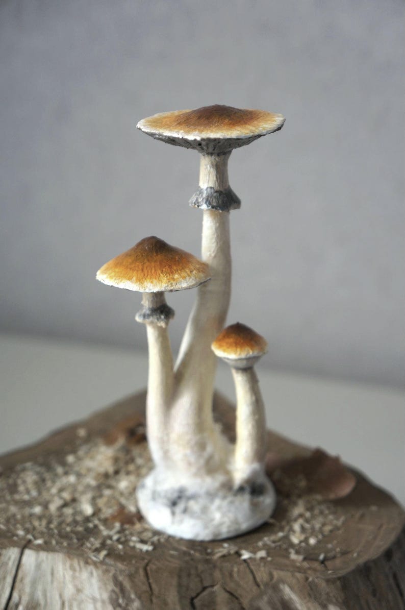 Prezent dla miłośnika grzybów psilocybinowych Figurka z magicznymi grzybami przebudzenia Złote nauczycielki Wiszące ozdoby z magicznymi grzybami Figurka z grzybami psylocybinowymi zdjęcie 10