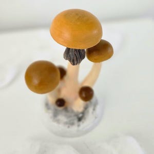 Prezent dla miłośnika grzybów psilocybinowych Figurka z magicznymi grzybami przebudzenia Złote nauczycielki Wiszące ozdoby z magicznymi grzybami Figurka z grzybami psylocybinowymi zdjęcie 13