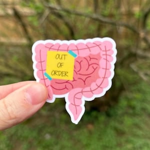 Intestines Out of Order Sticker, Funny Chronic Illness Stickers, Chrons Sticker, IBS Sticker, IBD Sticker, Intestinal Dysmotility Sticker