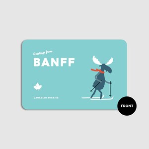 Carte postale Banff Moose - Carte postale Banff - Carte postale du parc national Banff - Souvenir de Banff - Bords arrondis - Fabriqué à Banff - 4 x 6 cartes postales
