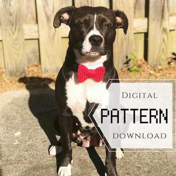 Dazzling Bowtie Crochet Pattern | Pet Collar | Animal Accessory | Dog and Cat Bowtie