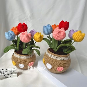 May include: Two crocheted flower pots with colorful tulips. The pots are brown with white hearts and a lace trim. The tulips are in shades of pink, yellow, orange, red, and blue.