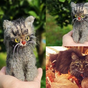 Custom Crochet Cat Stuffed Cat, Look alike Pet Doll, Crochet Cat From Photo, Personalized Pet Gift, Pet Memorial, Cat Mini Plush Doll image 5
