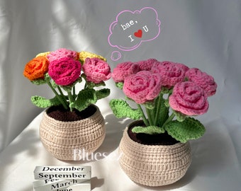 Crochet Flower Pot, handmade potted flower plant,  Crochet Tulip, Rose, Sunflower, Strawberry, Christmas Gift, Home Decor, Anniversary Gift