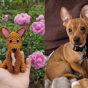 Look alike Pet Doll,  Crochet Dog From Photo, Personalized Pet Gift, Pet Portrait, Custom Stuffed Animal, Pet Memorial, Dog Mini Plush Doll