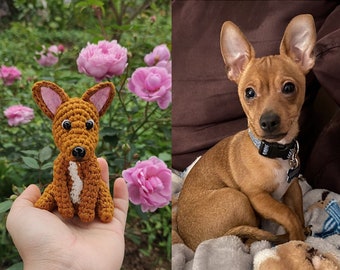 Look gelijk huisdierpop, gehaakte hond van foto, gepersonaliseerd huisdiercadeau, huisdierportret, op maat gemaakte knuffel, huisdiergedenkteken, hond mini pluche pop