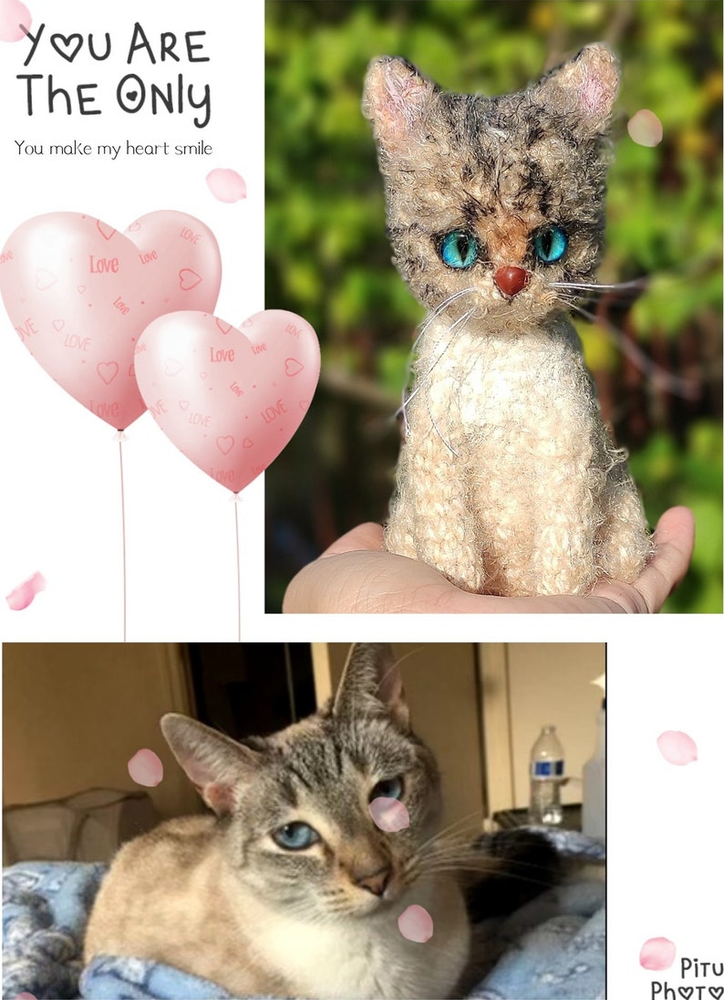 Custom Crochet Cat Stuffed Cat, Look alike Pet Doll, Crochet Cat From Photo, Personalized Pet Gift, Pet Memorial, Cat Mini Plush Doll image 6