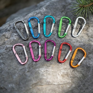 May include: A collection of colorful carabiner clips in various shades, including gray, blue, lake blue, green, silver, pink, rose red, purple, red, and gold. Each clip has a silver gate and is labeled with its color name.