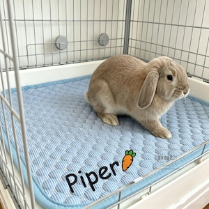Puede incluir: Una alfombrilla acolchada de color azul claro con un patrón circular texturizado y un borde azul. La alfombrilla presenta el nombre Piper bordado en letra negra, acompañado de un icono de zanahoria naranja con punta verde, dentro de una jaula.