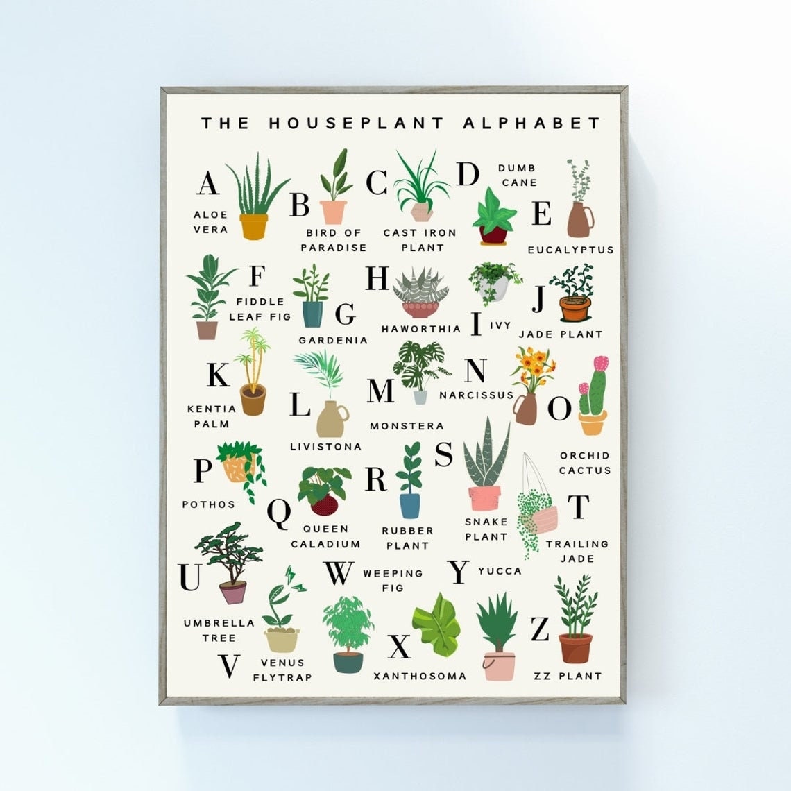 Houseplant Alphabet Print Flowers Succulent Indoor Etsy