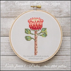 May include: A cross stitch pattern of a red Protea flower with green leaves. The pattern is in a round embroidery hoop and is compatible with Pattern Keeper. The text "Exotic flower 1 - Protea - cross stitch pattern" is at the bottom of the image.