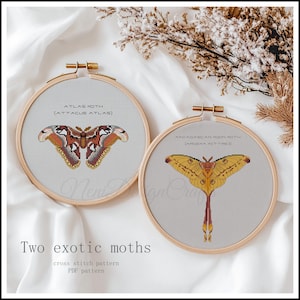 May include: Two embroidery hoop patterns featuring cross stitch designs of exotic moths. The first hoop shows an Atlas moth with the text "ATLAS MOTH (ATTACUS ATLAS)". The second hoop shows a Madagascan Moon Moth with the text "MADAGASCAN MOON MOTH (ARGENA MIT TRE)".