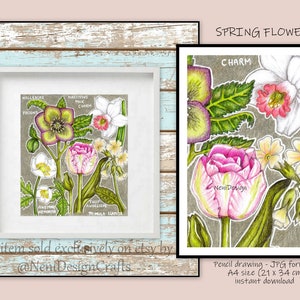 Wanddekoration Frühlingsblumen Bleistiftzeichnung Printable Frühlingsblumen Pflanze Skizze Wand Kunst Natur Pflanzen Poster Moderne Wohndekoration