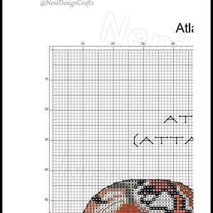 Atlas Moth Cross Stitch Pattern, Insect Home Decor (PDF Pattern) - Etsy