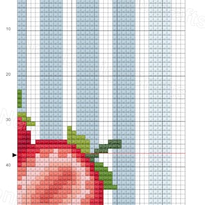 May include: Cross-stitch pattern titled "Strawberries large" with a grid background and a large, pixelated strawberry. The strawberry is red with green leaves. The text "Strawberries large" is at the top. The text "This item sold exclusively on etsy by @NeniDesignCrafts" is at the bottom.