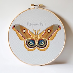 Moths Cross Stitch Pattern, Modern Cross Stitch, Insect Counted Cross Stitch, Embroidery Moth, Hoop Art, Home Decor, Digital Download