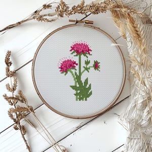 Floral Cross stitch, Macedonian scabious flower, Botanical embroidery, Plant lovers (PDF pattern)