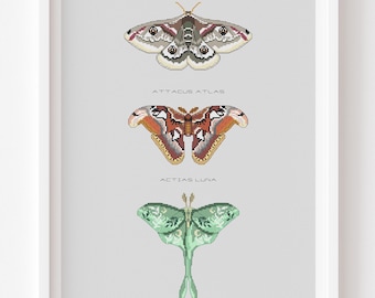 Moths Cross stitch pattern Giant Peacock moth Atlas moth Luna moth Natural Home decor PDF patten Modern digital art Insects embroidery