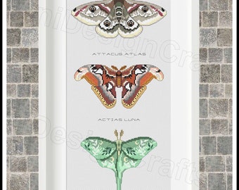 3 Moths Cross stitch pattern Emperor moth Atlas moth Luna moth Home decor Wall decor Animal cross stitch DIY Beautiful Moths Insect pattern