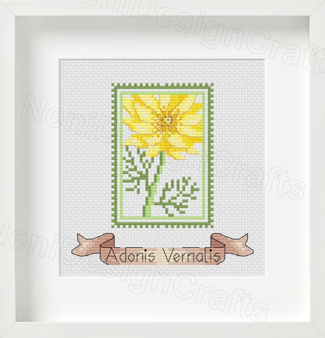 Adonis Vernalis Wildflower Cross Stitch Pattern (PDF Pattern) - Etsy