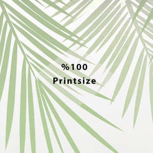 K&ouml;nnte beinhalten: Ein wei&szlig;er Hintergrund mit einem gr&uuml;nen Palmblatt-Design. Der Text "% 100 Printsize" befindet sich in der Mitte des Bildes.