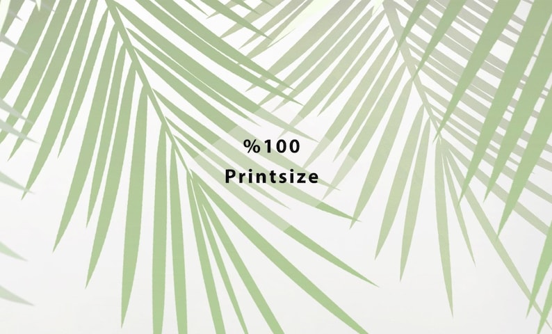 K&ouml;nnte beinhalten: Ein wei&szlig;er Hintergrund mit einem gr&uuml;nen Palmblatt-Design. Der Text "% 100 Printsize" befindet sich in der Mitte des Bildes.