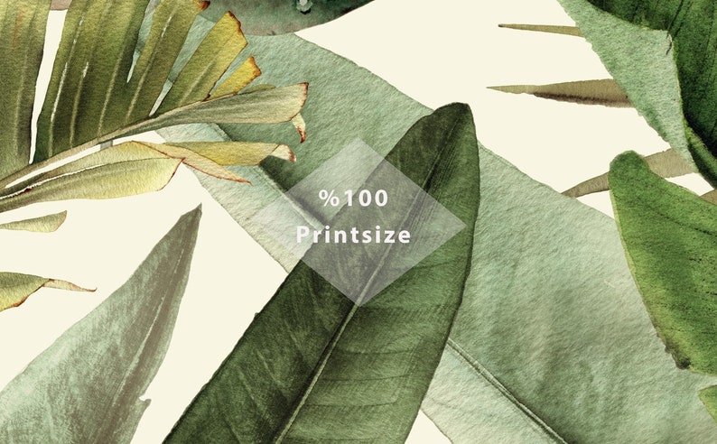 Carta da parati con foglie tropicali / Carta da parati verde / Carta da parati floreale / Carta da parati di lusso / Carta da parati staccabile e adesiva / Carta da parati rimovibile immagine 4