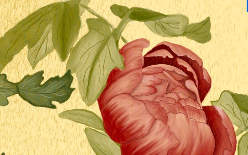 May include: A close-up of a red peony flower with green leaves. The flower is in full bloom and has a soft, velvety texture.