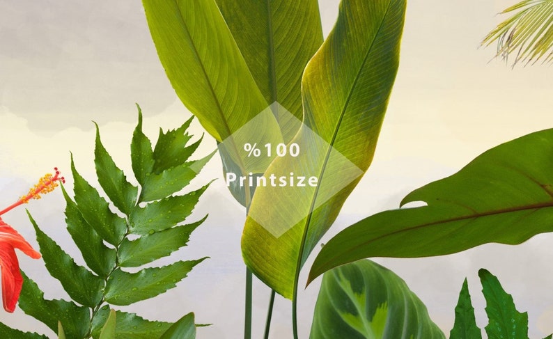 May include: A close-up of a variety of green tropical leaves with a white diamond-shaped graphic overlay that says "100% Printsize".