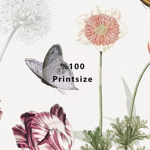 May include: A watercolor illustration of a floral bouquet with butterflies. The flowers are pink, white, and red. The butterflies are blue and black. The text "100% Printsize" is in the center of the image.