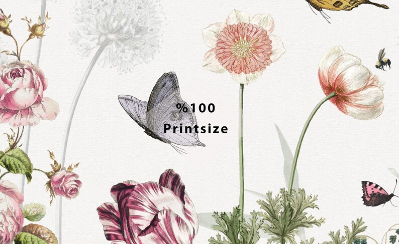 May include: A watercolor illustration of a floral bouquet with butterflies. The flowers are pink, white, and red. The butterflies are blue and black. The text "100% Printsize" is in the center of the image.