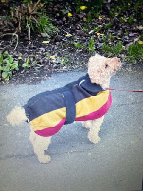 Newmarket dog sale coat