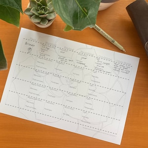 Houseplant Care Printable Reference Sheet