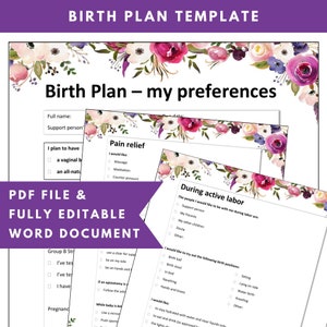 Birth Plan Template Birth Preferences Birthing Plan | Etsy