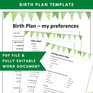 Birth Plan Template, Birth Preferences, Birthing Plan, Hospital Birth Plan, Printable, Editable Custom, Word PDF, Doula Childbirth Education