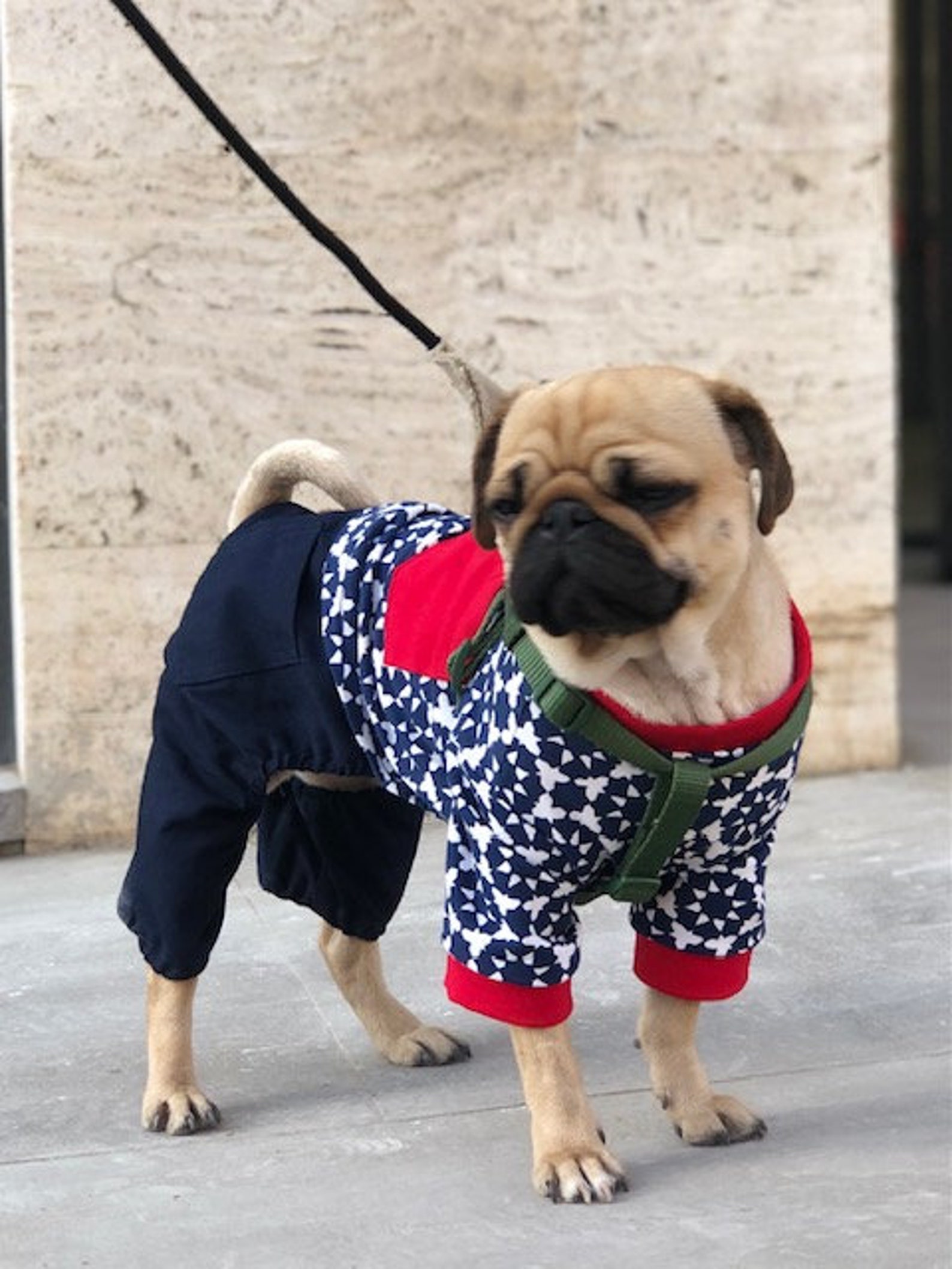 Dog Jumpsuit Every Day Wear Comfortable Pet Clothing For Etsy