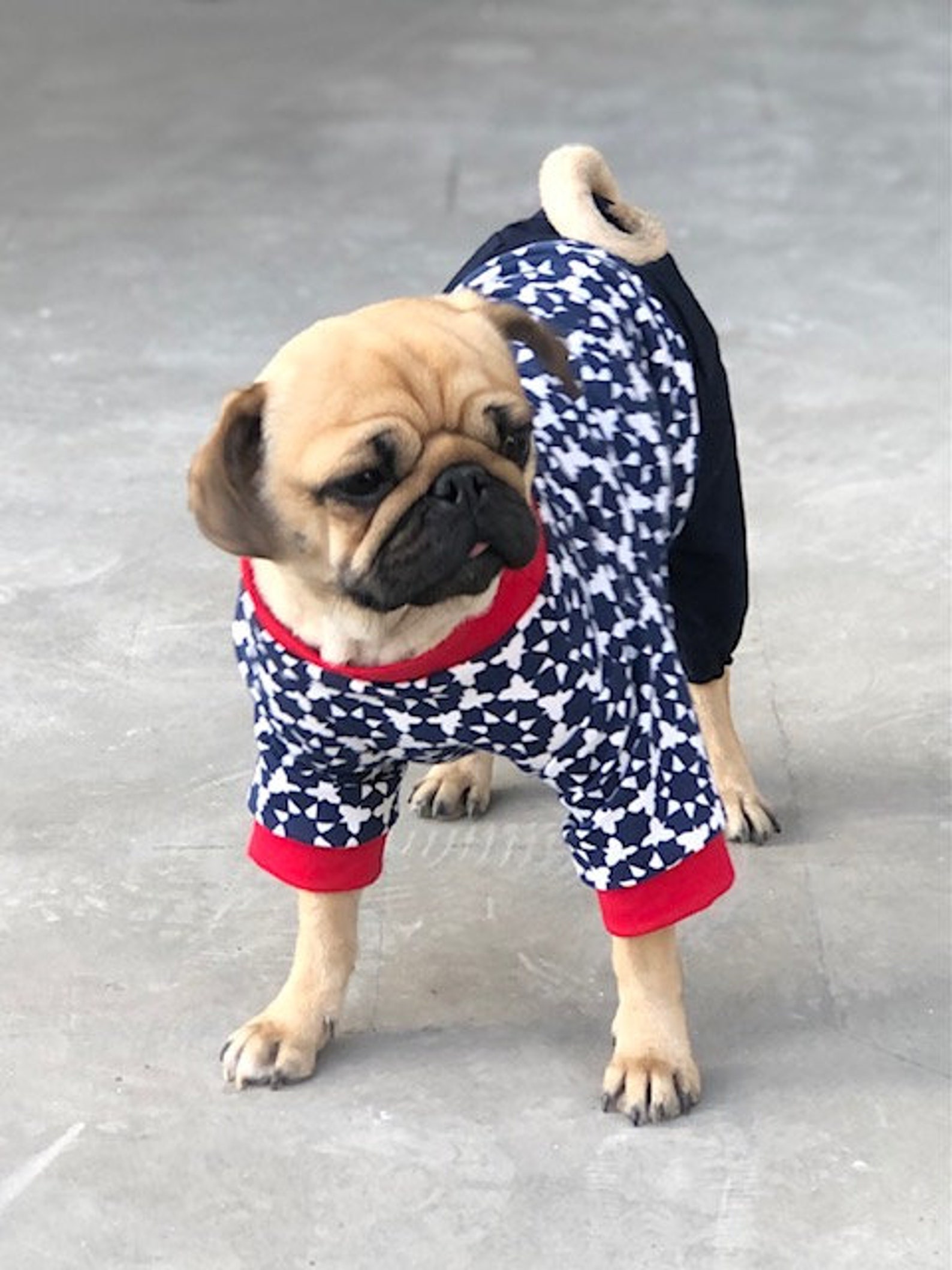 Dog Jumpsuit Every Day Wear Comfortable Pet Clothing For Etsy