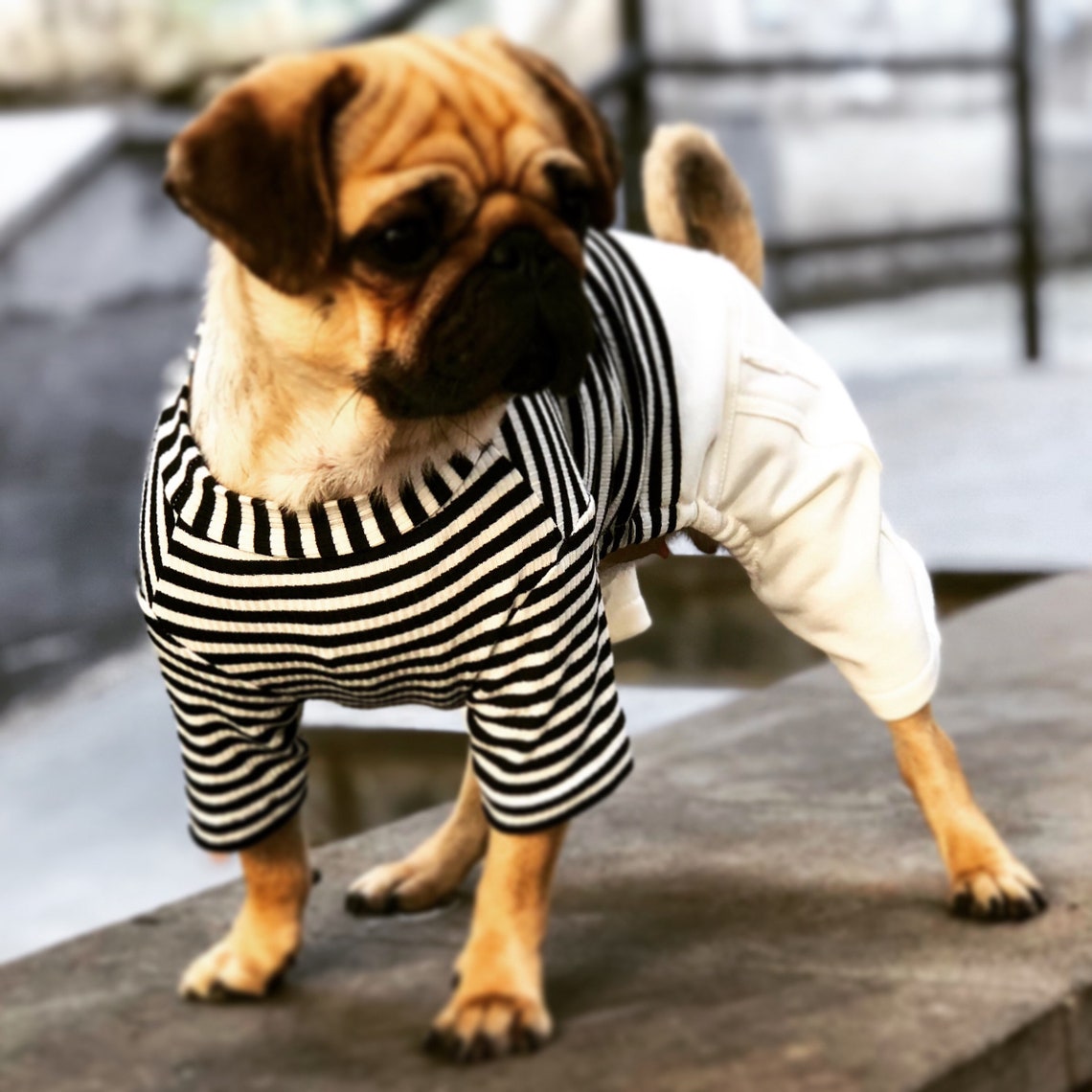 Dog Clothing Jumpsuit Pet Clothes Dog Fashion Black Withe Etsy