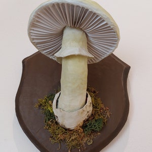 Mushroom model Deathcap mushroom paper-mache trophy image 2