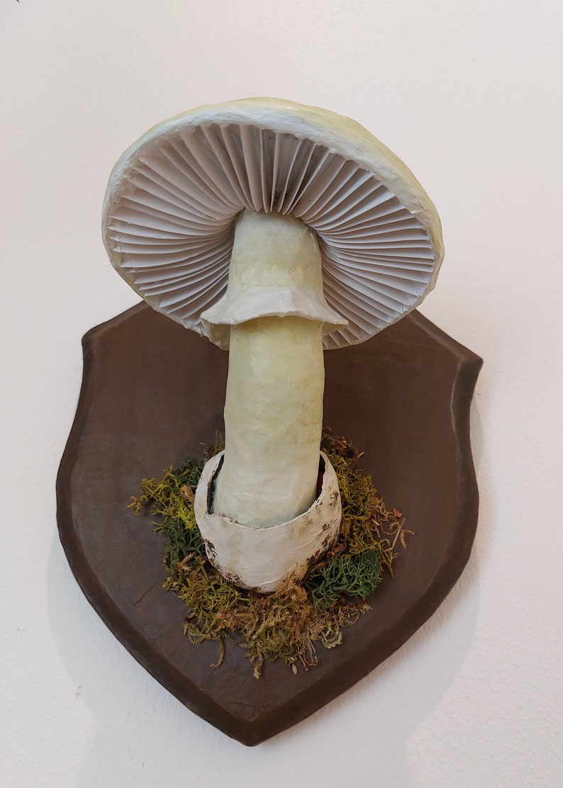 Mushroom model Deathcap mushroom paper-mache trophy image 2