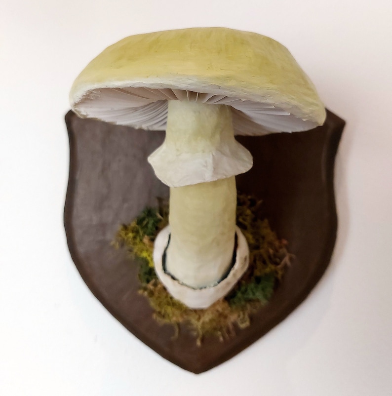 Mushroom model Deathcap mushroom paper-mache trophy image 3