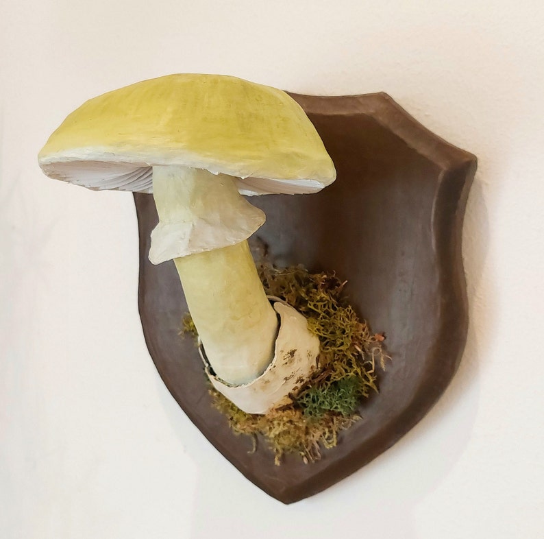 Mushroom model Deathcap mushroom paper-mache trophy image 1