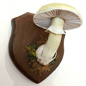 Mushroom model Deathcap mushroom paper-mache trophy image 4