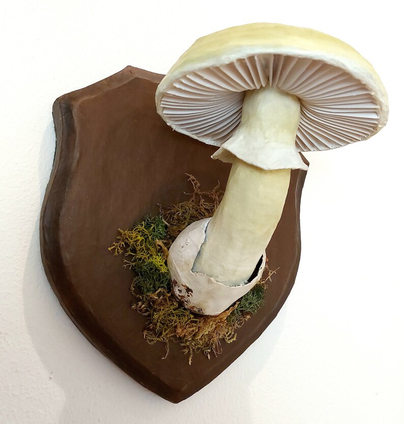 Mushroom model Deathcap mushroom paper-mache trophy image 4