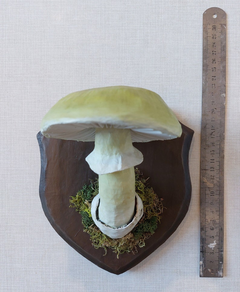 Mushroom model Deathcap mushroom paper-mache trophy image 6